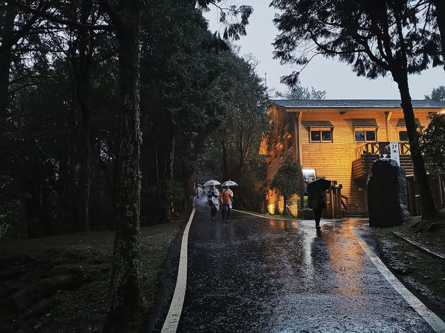 เดินเล่นในวันฝนตกที่อาลีซาน ไต้หวัน 🌧️☔️