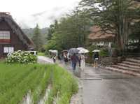 Shirakawa-go’s Gassho-zukuri Village