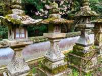 Kotohiragū – Climbing to the Spirit of the Sea