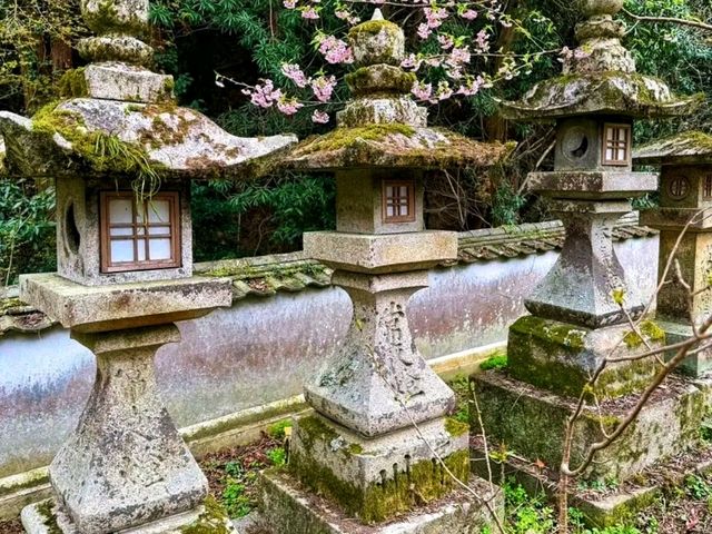 Kotohiragū – Climbing to the Spirit of the Sea