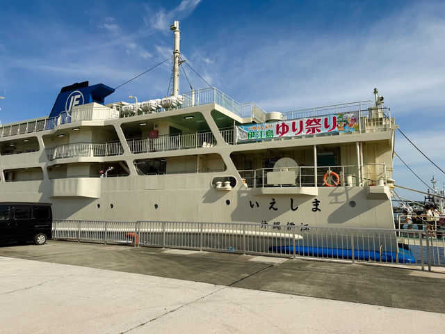 フェリーで30分、花の楽園へ。伊江島へのアスセス方法⛴️