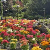 夏天必去的Butchart Garden