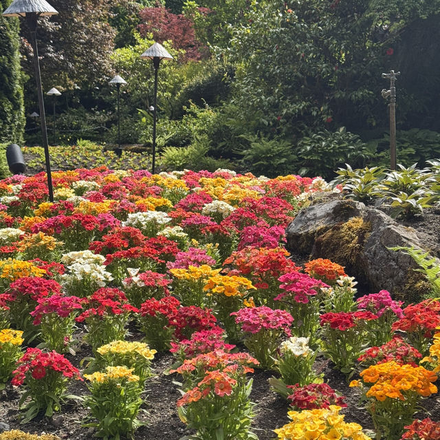 夏天必去的Butchart Garden