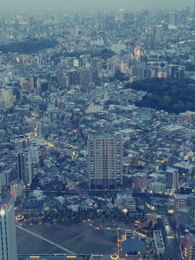 東京池袋購物攻略｜動漫與多元伴手禮精選