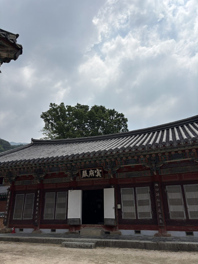 꽃구경 하기 좋은 구례 사찰 데이트🥹