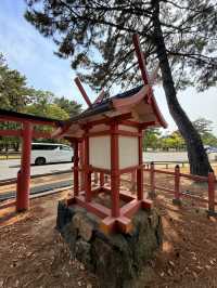 奈良｜春日大社的神鹿與浪漫 細數旗下神秘的壺神神社、拍子神社