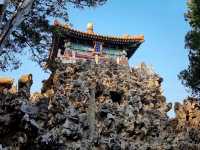 The Dragon's Sanctuary: Unveiling the Forbidden City