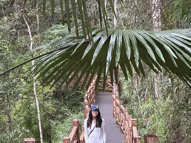 ☁️⛰️No Crowds, Just Clouds: A Quiet Getaway to Jianfengling