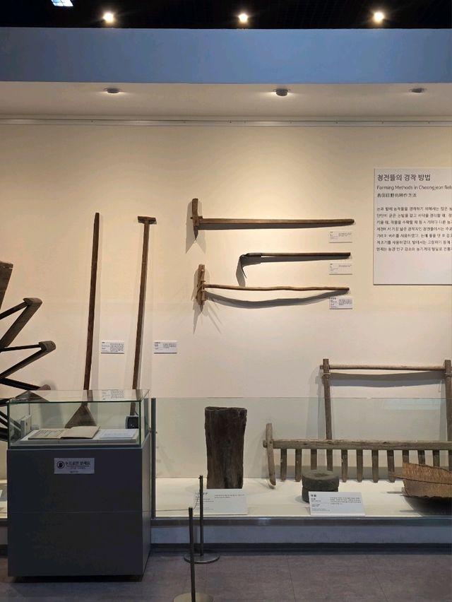 📚 실내 데이트 코스로 딱! 제천 의림지 역사박물관