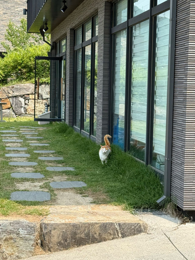 ☺️☀️제천감성카페 빌라드도화리