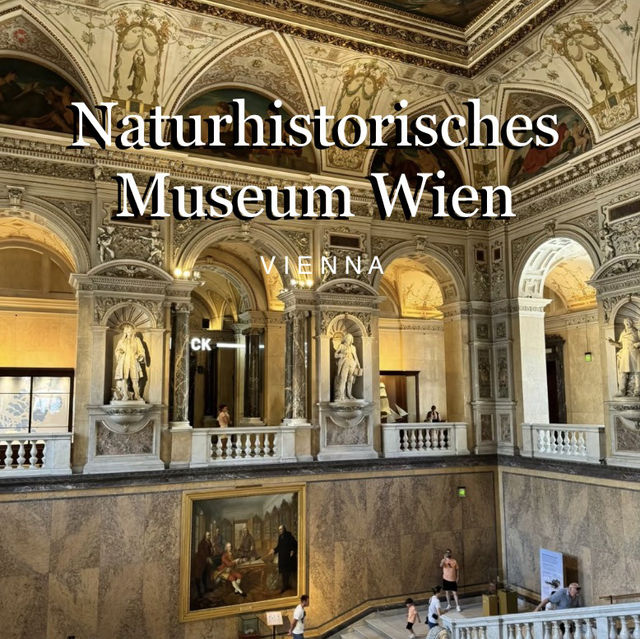 Great Summer Spot for Kids | Vienna Natural History Museum 🦕🔬🌿