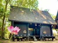 A budget trip to the Baan Dam Museum👬😍💐😎