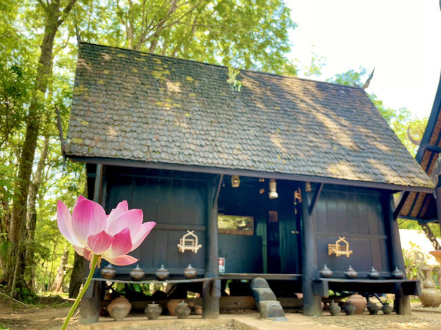 A budget trip to the Baan Dam Museum👬😍💐😎