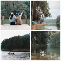 ปางอุ๋ง – เช้านี้มีหมอก สวิตเซอร์แลนด์เมืองไทย