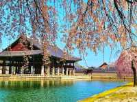 Gyeongbokgung Palace – Seoul’s Grand Legacy of the Joseon Dynasty