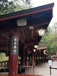 懷念的阿里山森林小火車