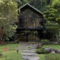 ‘Into the Forest Café’ 
