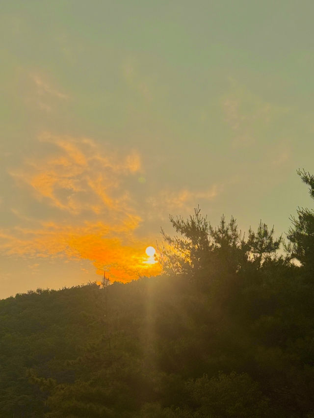 📍가볍게 짜기 좋은 부산 여행일정