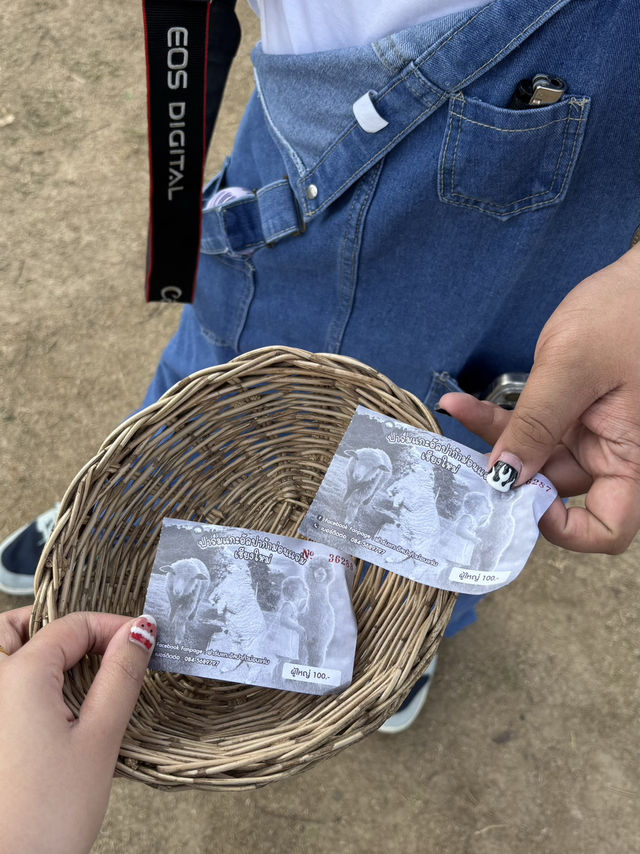 ฟาร์มแกะอัลปาก้าม่อนแจ่ม🦙💗