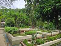 해외여행 브라질에서 가장 큰 식물원 Botanical Garden of Rio de Janeiro