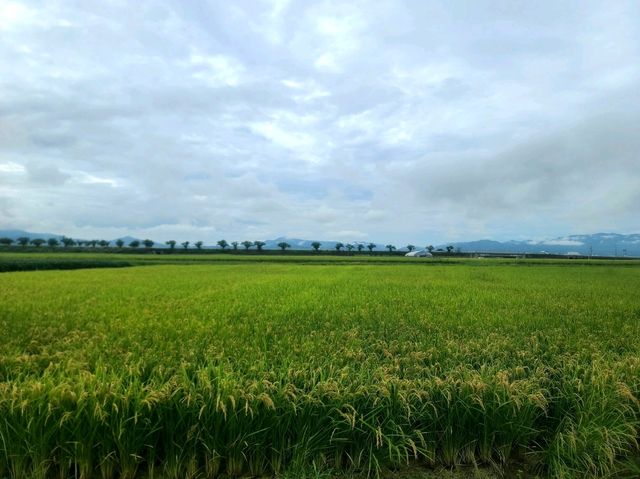 Inakadate Village Observation Deak(논아트, 단보아트, 아오모리현)