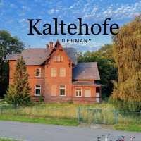 Sunset Cycling Bliss at Kaltehofe, Hamburg! 🚴‍♀️🐑🌅