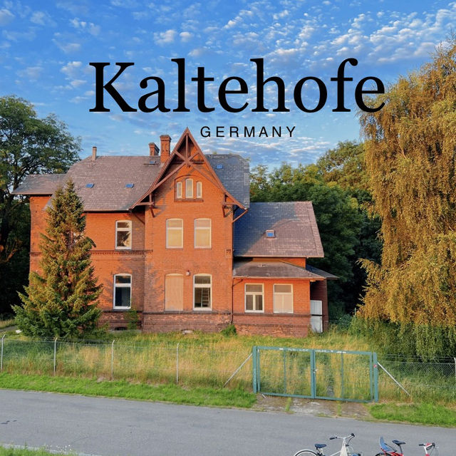 Sunset Cycling Bliss at Kaltehofe, Hamburg! 🚴‍♀️🐑🌅
