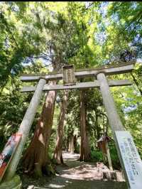 📍【青森・十和田湖】神秘の湖とアートが響き合う、静寂と感動の地