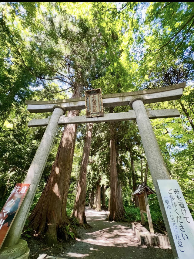 📍【青森・十和田湖】神秘の湖とアートが響き合う、静寂と感動の地