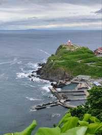 Junee Green Hokkaido 