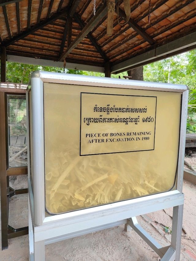 The Killing Fields: A Haunting Reminder of Cambodia’s Past