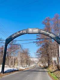 🎯【北海道・ニセコ＆羊蹄山】“蝦夷富士”を見上げる、冬も夏も楽しめる高原旅 