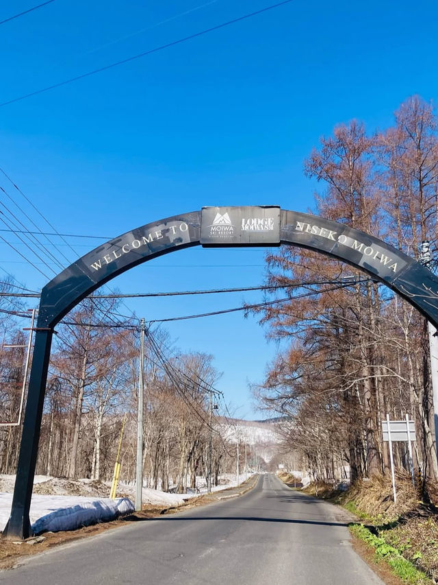🎯【北海道・ニセコ＆羊蹄山】“蝦夷富士”を見上げる、冬も夏も楽しめる高原旅 