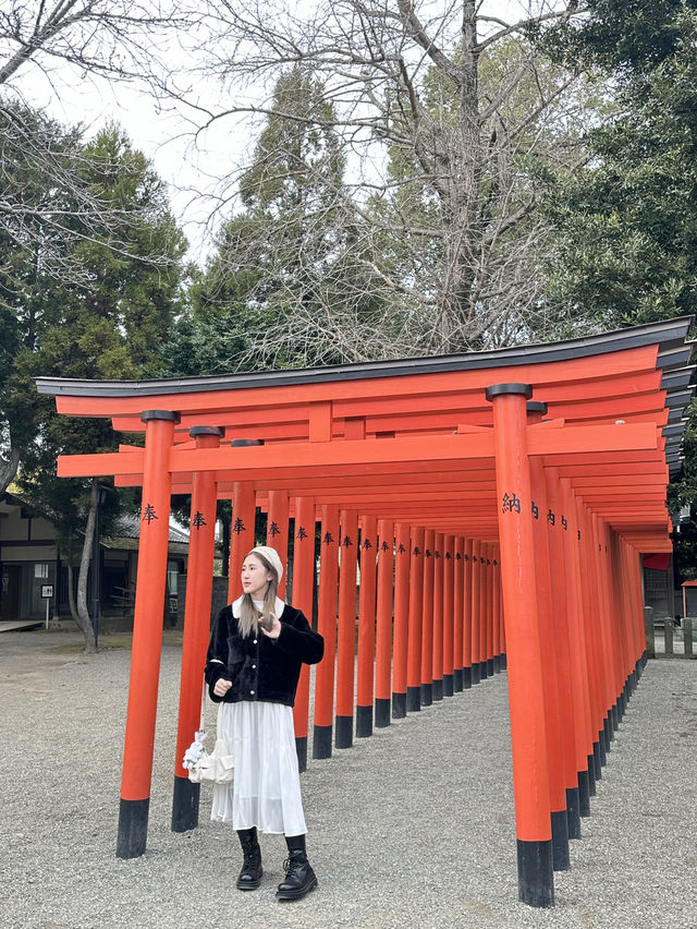 จุดเช็คอิน ที่สวยงามในคุมาโมโตะ🇯🇵
