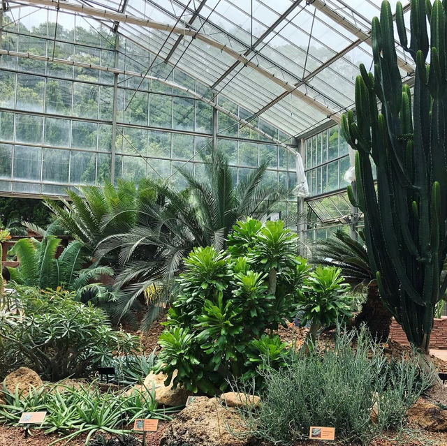 สวนพฤกษศาสตร์ เชียงใหม่🌵✨🍃