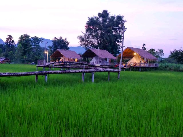 🌾 นอนฟิน กินหมูกระทะ กลางทุ่งนาเขียว 🍃