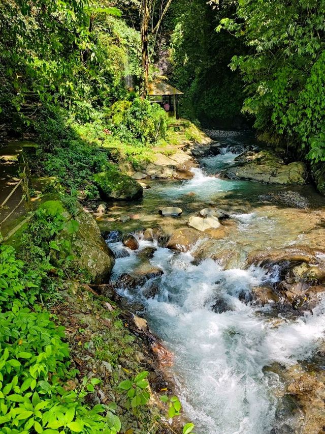 🏞️ : Git Git Waterfall เที่ยวบาหลี