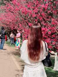 🍊🌸 หนีเมือง มาเจอเขา — ที่เชียงใหม่ก็มีแบบนี้!