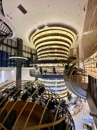 Literary oasis in the city: where books breathe in golden light