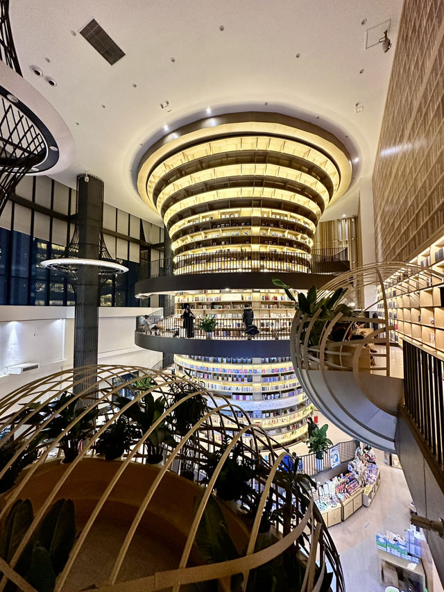 Literary oasis in the city: where books breathe in golden light