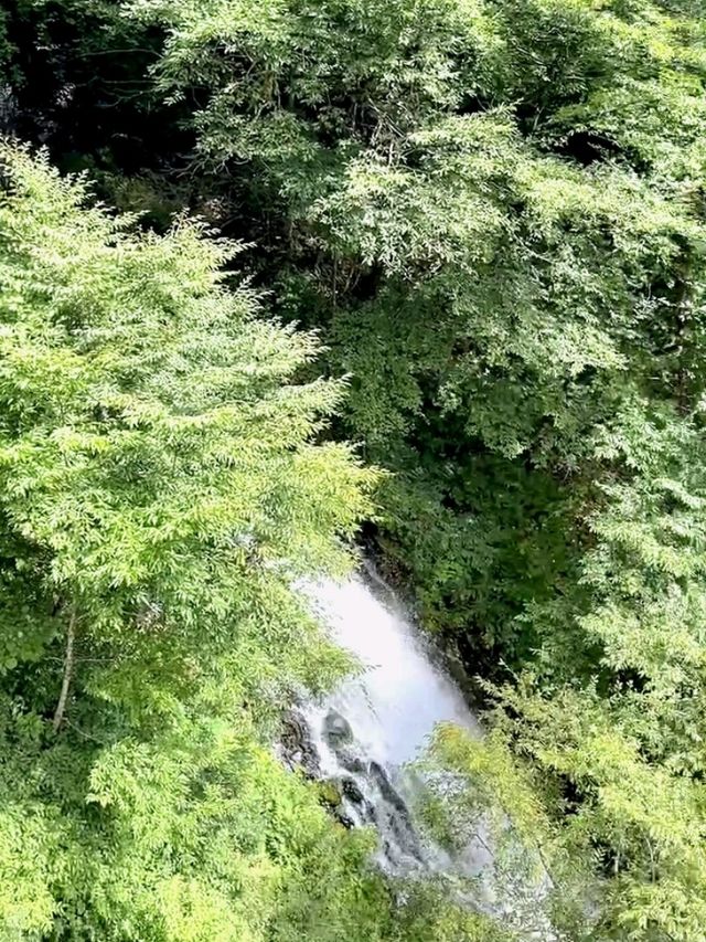 The Absolute Splendor of Kegon Falls
