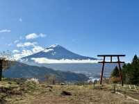 富士山。天空鳥居。楓葉