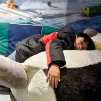 Exploring the Wonders of the International Antarctica Museum