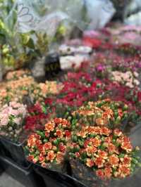Hidden gem for flower lovers