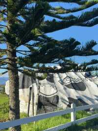 ✨ 2D1N Self-Drive Escape to Kota Kinabalu & Kundasang 🚗🌿
