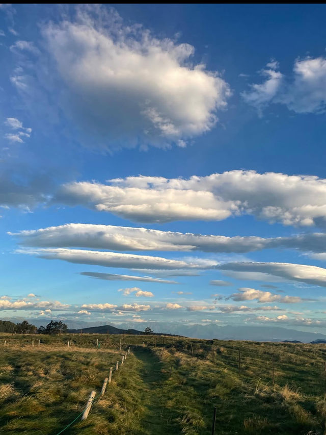 🌄長野・美ヶ原高原｜天空の大自然を感じる絶景スポット