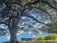 Sydney Stroll: Mosman Bay to Cremorne Point 🇦🇺🚶‍♀️