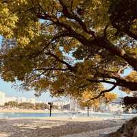 Jangdo Island, Yeosu: An Artistic Escape Where Nature Meets Creativity