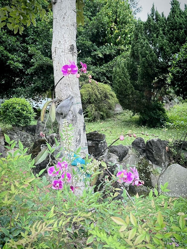 北投行義宮：都市山林中的靜謐祈福之地