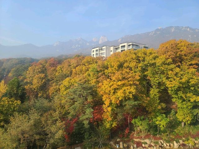 파라스파라 서울 프리미어 팀버 스위트 (히노끼탕, 인룸다이닝, 실내수영장, 야외수영장, 사우나, 조식)